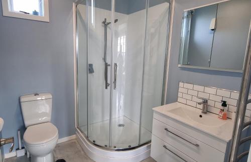 a bathroom with a shower and a toilet and a sink at Sunshine Studio in Hamilton