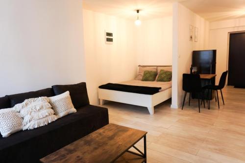 ein Wohnzimmer mit einem Sofa und einem Bett in der Unterkunft Nowoczesne Studio Prudnik in Prudnik