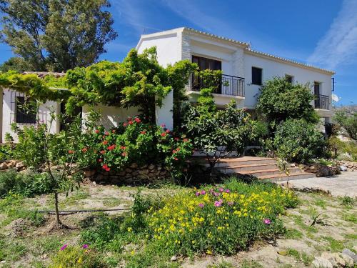 Cortijo Nerja Artist Paradise