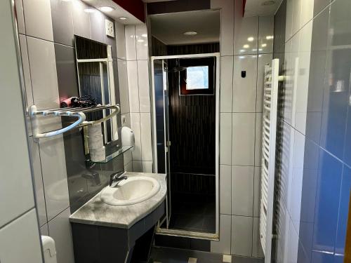 uma casa de banho com um lavatório e um chuveiro em Vila Vlasic Odmor wellness & spa em Vlasic