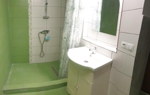 a bathroom with a sink and a shower with a mirror at Casa Misha in Petreşti