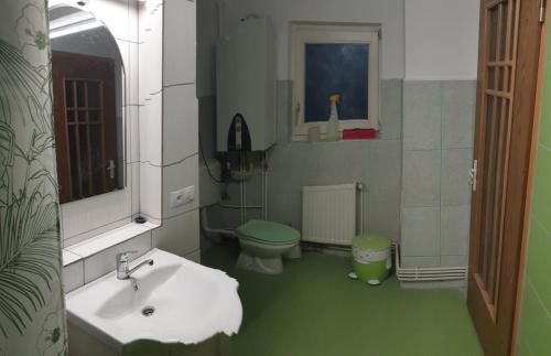 a small bathroom with a sink and a toilet at Casa Misha in Petreşti