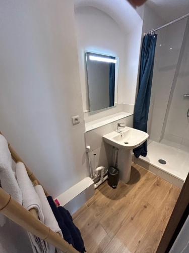 une petite salle de bain avec un lavabo et une douche dans l'établissement Abesse Appart, à Paris