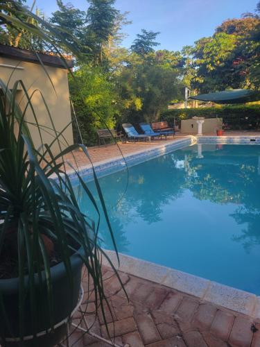 a large swimming pool with a potted plant next to it at Sable Suites B1, 1 Bed Apartments in Kabulonga in Lusaka