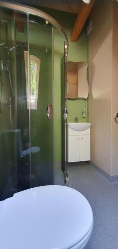 a bathroom with a shower with a toilet and a sink at Poilsis Juodkrantėje in Juodkrantė