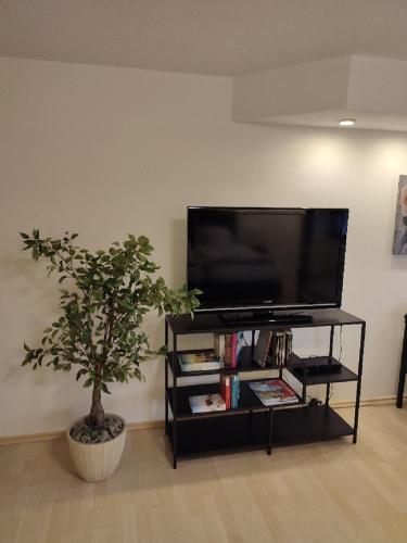 TV/Unterhaltungsangebot in der Unterkunft Gästewohnung Mühlstein