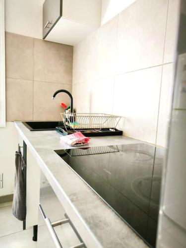 une cuisine avec un évier et un plan de travail dans l'établissement Le nid provençal, à Aix-en-Provence