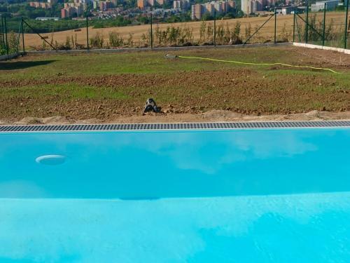 una vista aérea de una gran piscina azul en Moderní luxusní sdílený rodinný apartmán, 