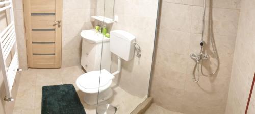 a bathroom with a toilet and a shower at Casa Misha in Petreşti