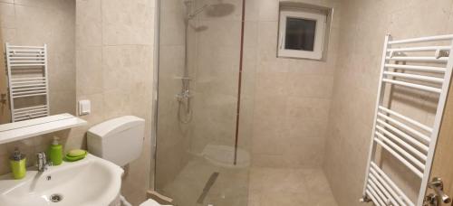 a bathroom with a shower and a toilet and a sink at Casa Misha in Petreşti