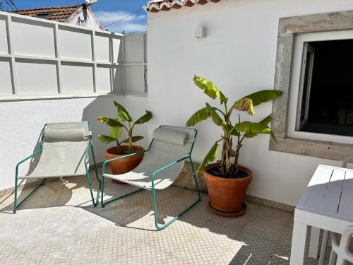 duas cadeiras e uma planta numa varanda em Palmeirinha Guest House em Sintra