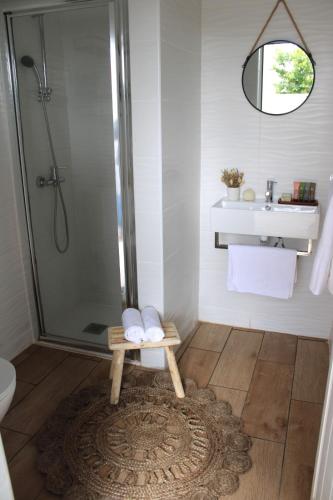 a bathroom with a shower and a toilet and a rug at Azinheira Villa - Grândola in Azinheira dos Barros