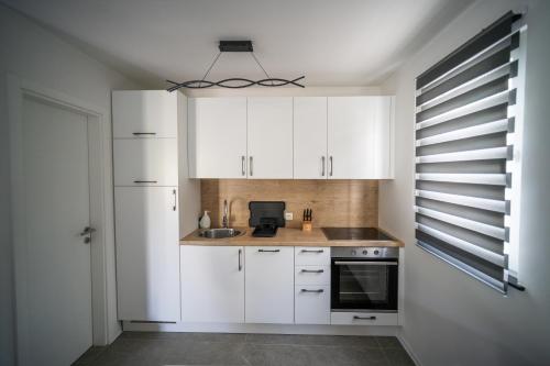 Dapur atau dapur kecil di Apartma Tim Terme Čatež