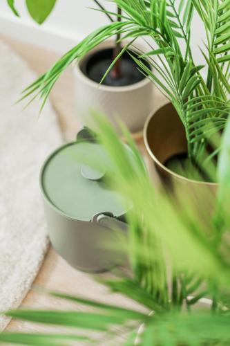 a couple of potted plants sitting on a table at SEVEN Rooms Vienna in Vienna