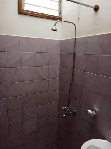a bathroom with a shower and a toilet at STC.SAFARI LODGE in Oldeani