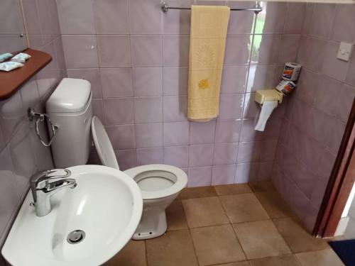 a bathroom with a white toilet and a sink at STC.SAFARI LODGE in Oldeani