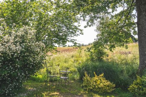 two chairs sitting in the middle of a field at Apartma Župelefski raj in Kapele