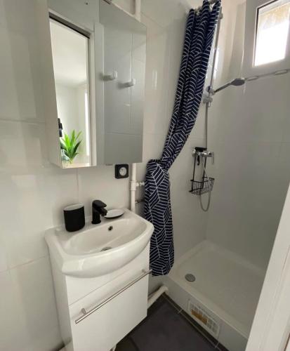 a bathroom with a sink and a toilet and a mirror at Suite moderne entre Paris et Disneyland Paris in Neuilly-Plaisance