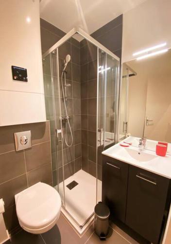 une salle de bain avec une douche, des toilettes et un lavabo dans l'établissement Le Petit Lyonnais - Coeur de Lyon - 2 pers., à Lyon