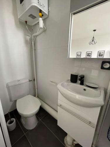 a bathroom with a toilet and a sink and a mirror at Suite moderne entre Paris et Disneyland Paris in Neuilly-Plaisance