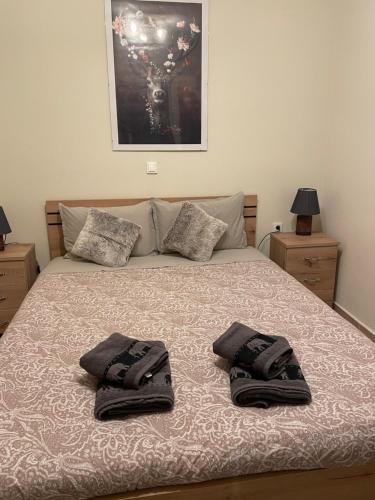 Un pat sau paturi într-o cameră la Ζέφη