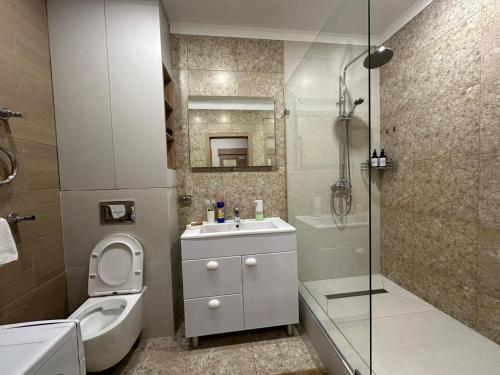 uma casa de banho com um WC, um lavatório e um chuveiro em Уютная, новая квартира в центре города em Qostanay