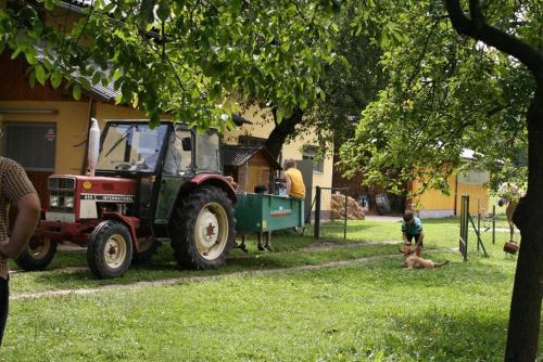 Gallery image of Bauernhof-Pension Puschnikhof in Unternarrach