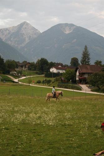 Gallery image of Bauernhof-Pension Puschnikhof in Unternarrach