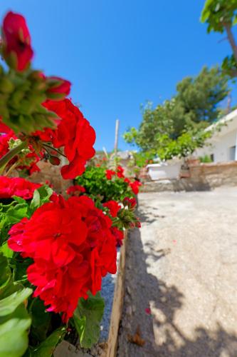 Flower Vila