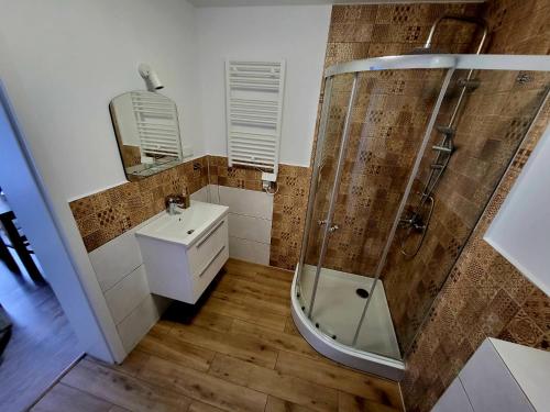 a bathroom with a shower and a sink at Mościce Dolne 69 in Nowosiółki