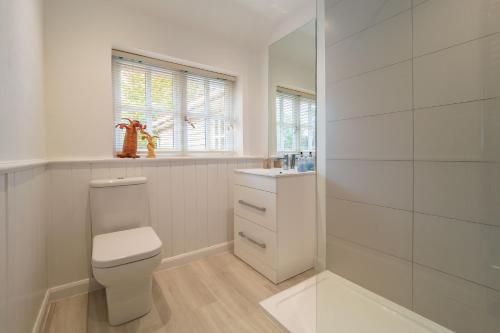 a white bathroom with a toilet and a sink at Foxhole Cottage 10 in Stowmarket