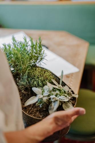 a person holding a potted plant on a table at Hotel-Pension Faneskla in Silbertal