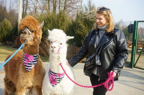 a woman in a leather jacket holding two llamas at Ranczo Na Sówce in Ciechanowiec