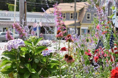 a garden of flowers in front of a street at Marsh Front Home w Sweeping Views in Wellfleet