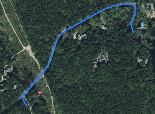 an overhead view of a blue road in a forest at Short Walk to Long Pond Swimming Beach in Wellfleet