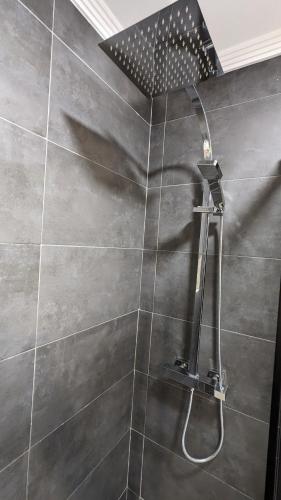 a shower with a shower head in a bathroom at Viva Piso Jerez in Jerez de la Frontera