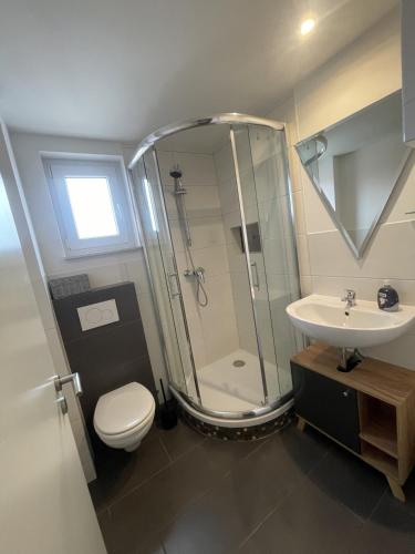 een badkamer met een douche, een toilet en een wastafel bij 2-Zimmer Apartment Miroszewska-Immobilien in Bönnigsen