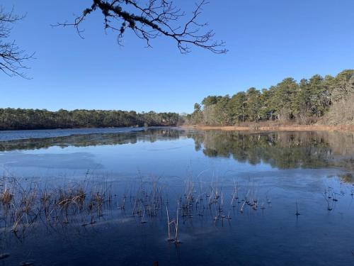 a lake with some grass in the water at Pond Front Home w Game Room Dog Friendly in Chatham