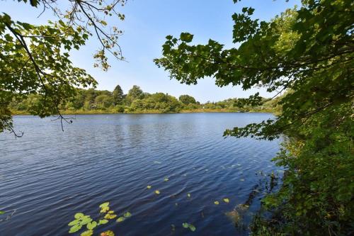 a view of a lake through the trees at Pond Front Home with Private Dock in Brewster