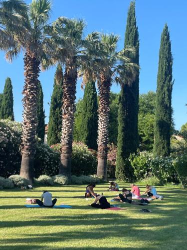 a group of people laying in the grass under palm trees at HOTEL et APPARTEMENTS DOMAINE DES CLOS - Teritoria in Beaucaire