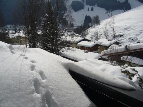 Appartement Bernkogel
