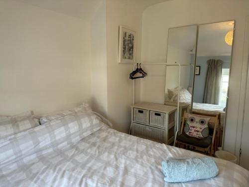 a bedroom with a bed and a large mirror at Combe Dingle, Bristol in Bristol