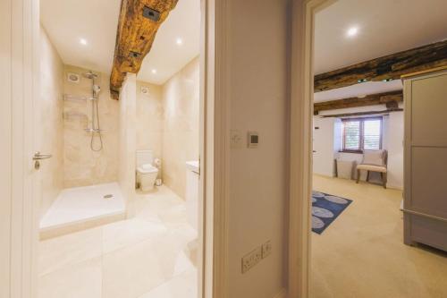 a bathroom with a shower and a toilet and a sink at The Granary- Hopewell in Bristol