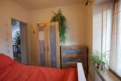 Habitación con cama y armario con plantas. en Bright one bed flat close to BRI & University, en Bristol