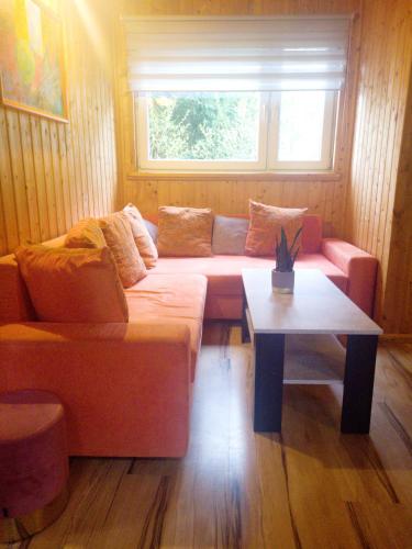 a living room with a couch and a table at Stanica pod Zadzierną Domki całoroczne in Lubawka