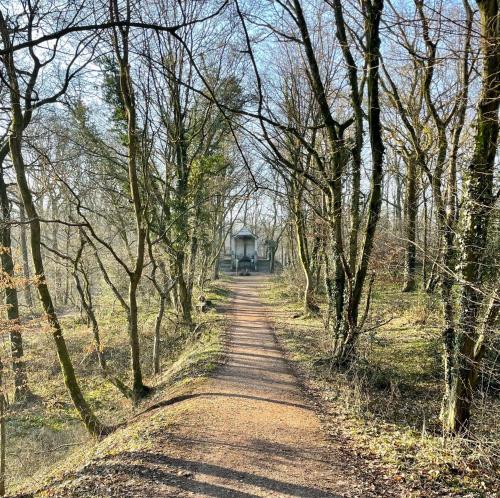 a dirt road in the middle of a field with trees at Gîte Le Sambre in Thuin