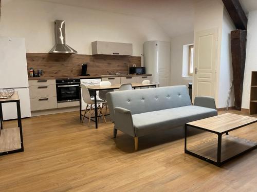 - un salon avec un canapé et une table dans l'établissement Appartements Baron Bouvier, à Vesoul