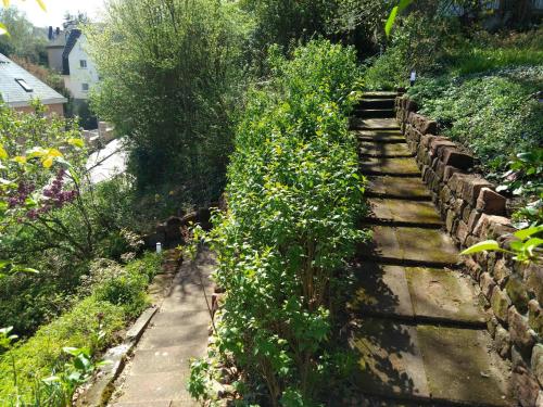 einen Steinweg in einem Garten mit Pflanzen in der Unterkunft Historisches Haus am Triller in Saarbrücken