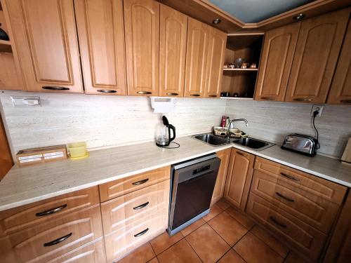 a kitchen with wooden cabinets and a sink at Penzión Villa Agnes in Smolenice