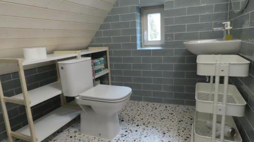 a bathroom with a toilet and a sink at Domek Kavalírek in Lipova Lazne